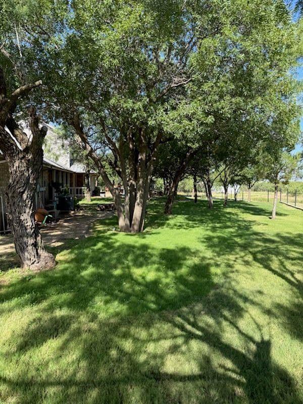 Gallery photos for Rapid Lawn Transformation with Hydroseeding: Image #1