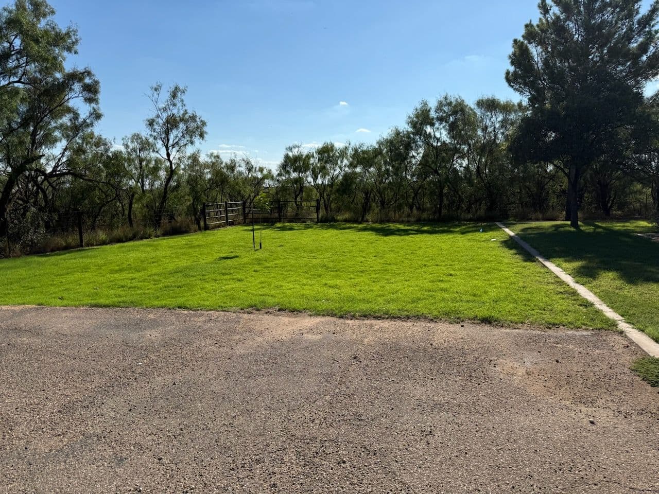 Project Lush Transformation with Hydroseeding for Your Lawn image