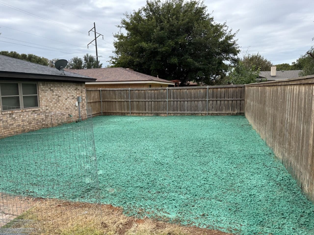 Project Effective Hydroseeding for Lubbock Lawns image