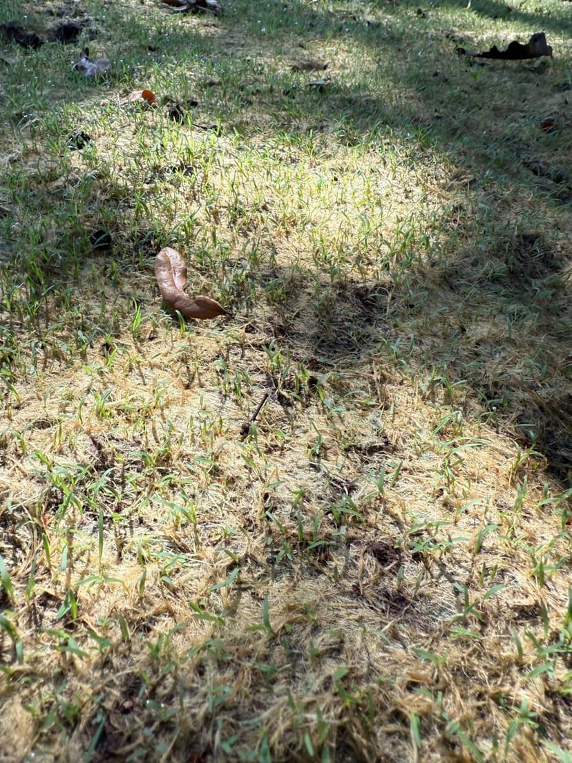 Excellence in Hydroseeding's image
